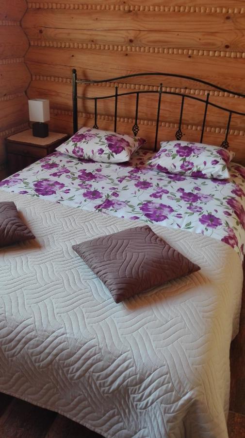 Hotel Bieszczadzkie Marzenie Wetlina Extérieur photo