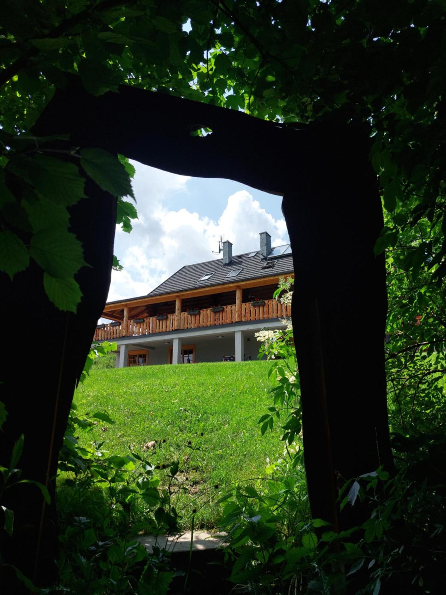 Hotel Bieszczadzkie Marzenie Wetlina Extérieur photo